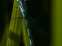07-10-16-Nanjemoy-20707