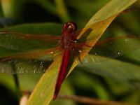 07-10-16-Nanjemoy-20775