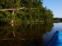 07-17-16-Tuckahoe-21187