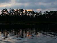 08-01-16-Alligator River-22294