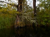 08-01-16-Alligator River-22415