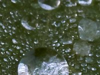 08-03-16-Indiantown Creek-23027