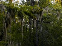 08-03-16-Indiantown Creek-23087
