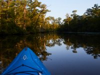 08-03-16-Indiantown Creek-23099