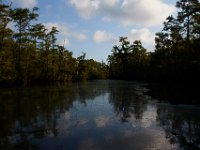 08-03-16-Indiantown Creek-23228
