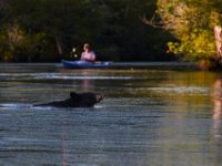 08-03-16-Indiantown Creek-NC