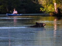 08-03-16-Indiantown-Creek-23242-email