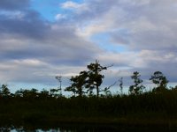 08-04-16-Alligator River-2-23589