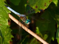 08-20-16-Mattawoman Creek-24674