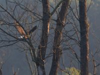 08-20-16-Mattawoman Creek-24716