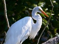 08-20-16-Mattawoman Creek-25040