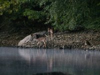 09-25-16-Rocky Gorge-27292
