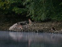 09-25-16-Rocky Gorge-27293