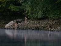09-25-16-Rocky Gorge-27295