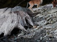 09-25-16-Rocky Gorge-27333