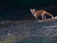 09-25-16-Rocky Gorge-27512