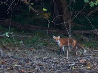 09-25-16-Rocky Gorge-27526