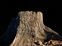 09-25-16-Rocky Gorge-27609