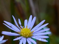 10-02-16-Nanjemoy-27895