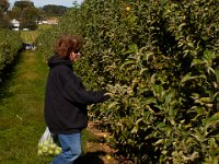 10-22-16-Larriland Farms-28565