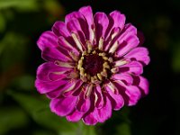 10-22-16-Larriland Farms-28863