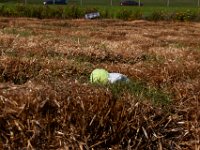10-22-16-Larriland Farms-29129