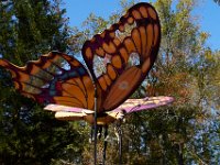 10-23-16-Renaissance Festival-29173