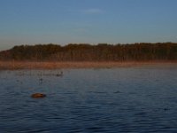 10-29-16-Mattawoman-20040