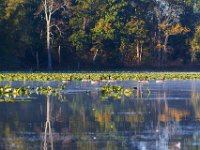 10-29-16-Mattawoman-20209