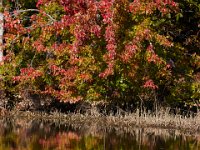 10-29-16-Mattawoman-20367
