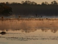 10-29-16-Mattawoman-29972