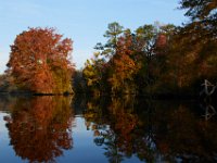 10-30-16-Broad Creek De-20626