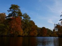 10-30-16-Broad Creek De-20709