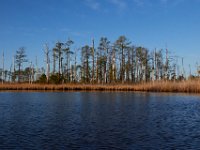 11-06-16-Blackwater-21118