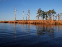 11-06-16-Blackwater-21128