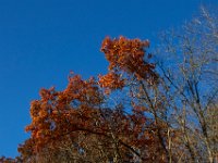 11-12-16-Triadelphia-21533