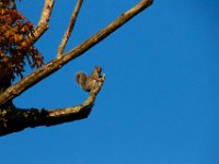 11-13-16-Piscataway-21752