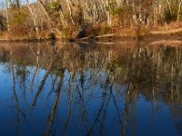 11-13-16-Piscataway-21828