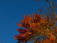 11-13-16-Piscataway-21884