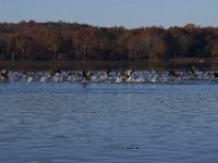 11-13-16-Piscataway-21996