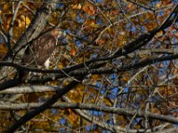 11-13-16-Piscataway-22104