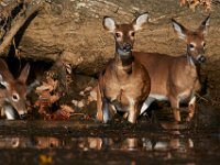 11-13-16-Piscataway-22172