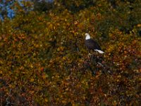 11-13-16-Piscataway-22204