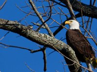 11-13-16-Piscataway-22247