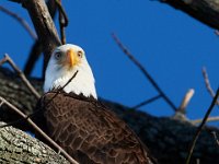 11-13-16-Piscataway-22272