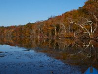 11-13-16-Piscataway-22330