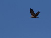 11-13-16-Piscataway-22367
