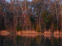 11-19-16-Nanjemoy-22581