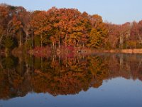 11-19-16-Nanjemoy-22716
