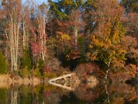 11-19-16-Nanjemoy-22720